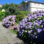 Casa De Carcavelos Venkovský dům Cabeceiras de Basto