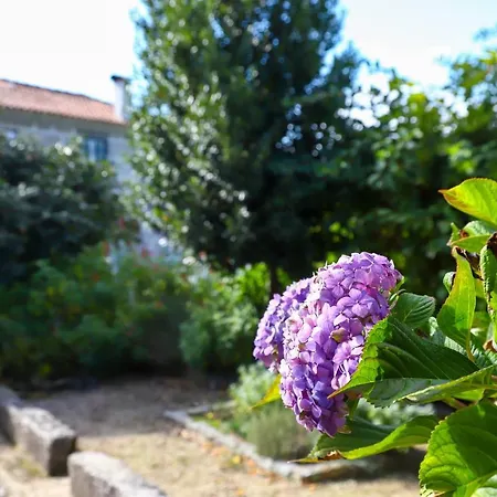 Séjour à la campagne Casa De Carcavelos