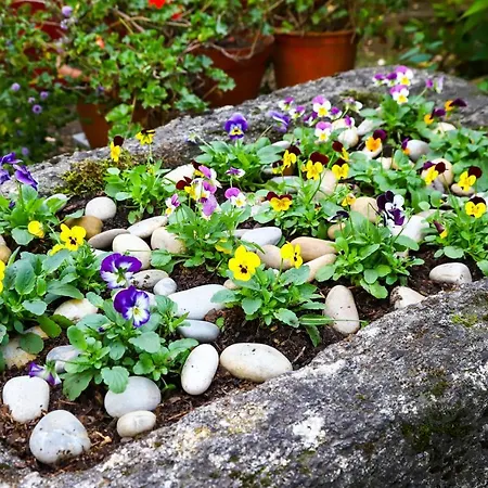 Casa De Carcavelos Cabeceiras de Basto