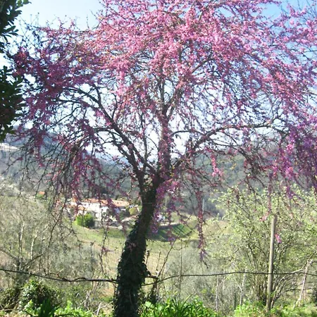 Casa De Carcavelos * Cabeceiras de Basto