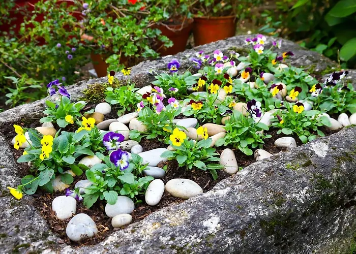 Casa De Carcavelos 카베세이라스 드 바스투