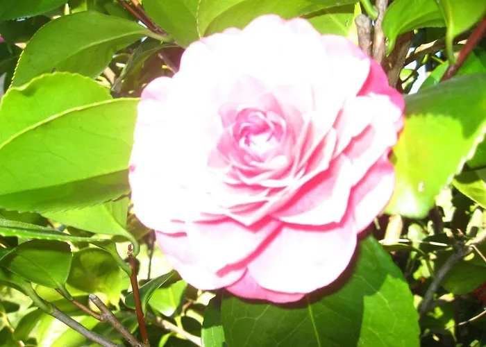 Hétvégi ház Casa De Carcavelos *