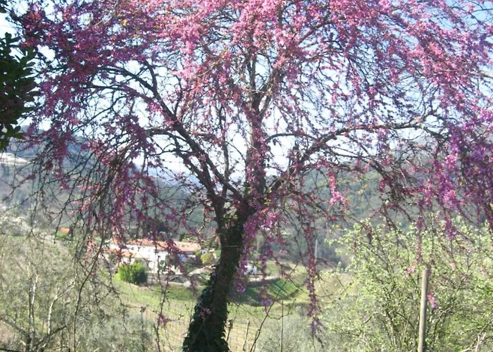 Casa De Carcavelos * 카베세이라스 드 바스투